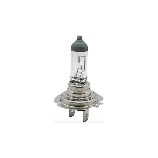 Iveco Daily Headlight H7 Light Globe Standard