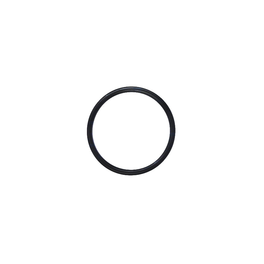 Iveco Daily Genuine O Ring 500390054 17289681
