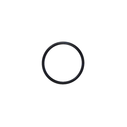 Iveco Daily Genuine O Ring 500390054 17289681