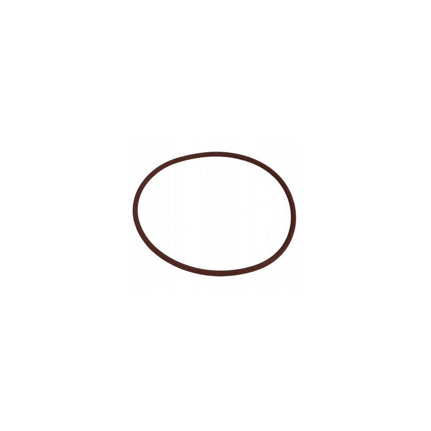 Iveco Daily Hub Seal O Ring 17291481 14466182