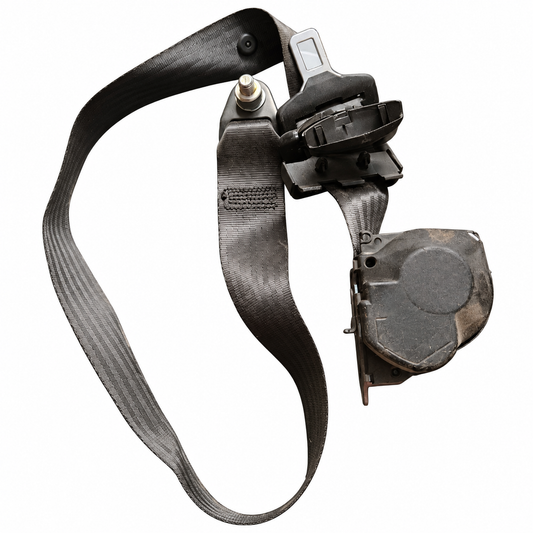 As Passenger Side Seat Belt 500327849