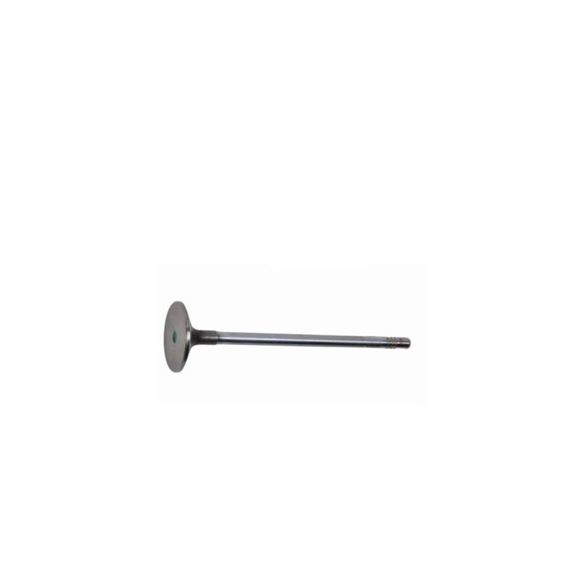 Iveco Daily 3.0 F1C Intake Valve 504072531