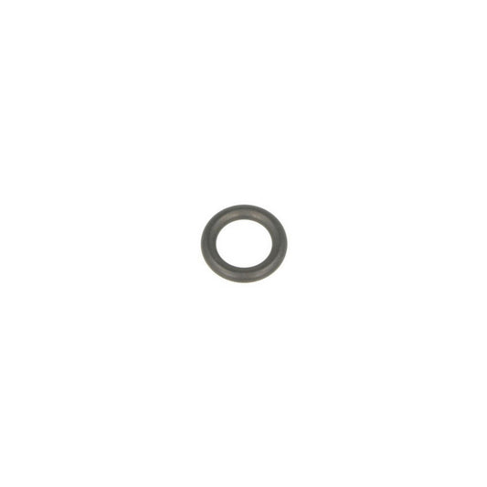Iveco Daily EGR Cooler Oring 504184692
