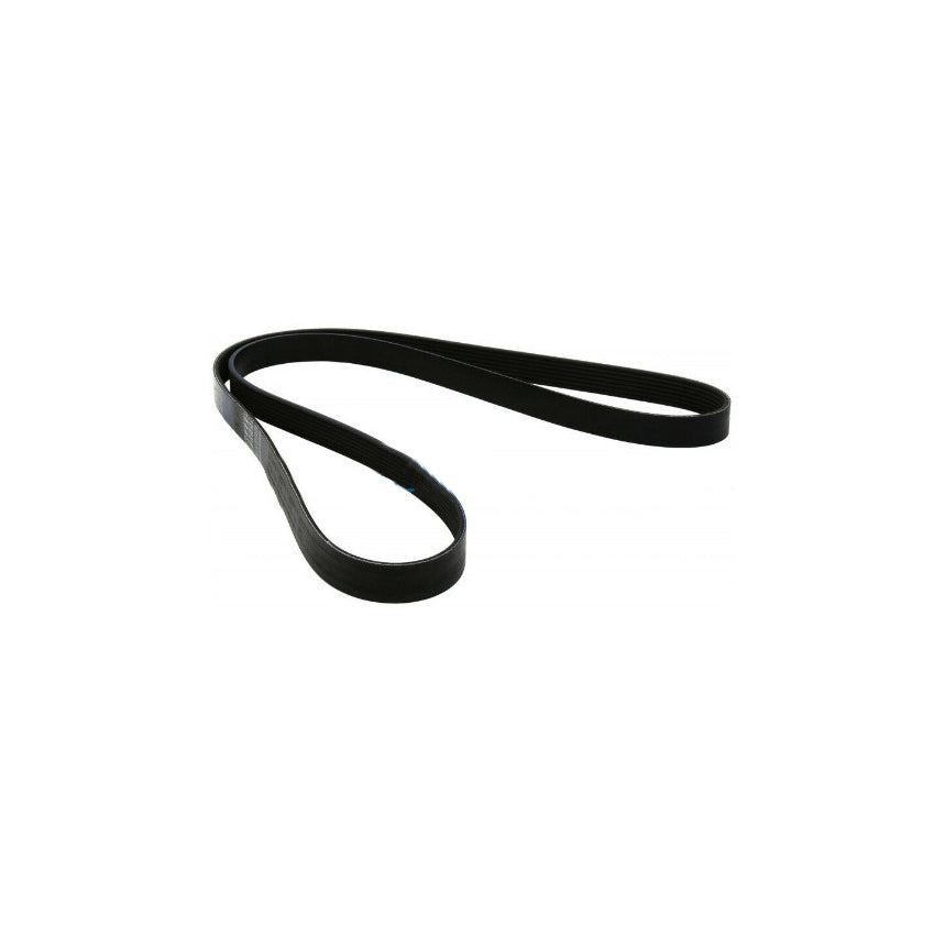 Iveco Daily 35S15 Drive Belt 504384313